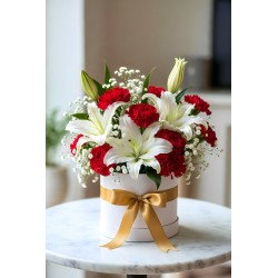 Anyelir (Carnation) Merah