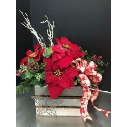 Kastuba Merah (Poinsettia)
